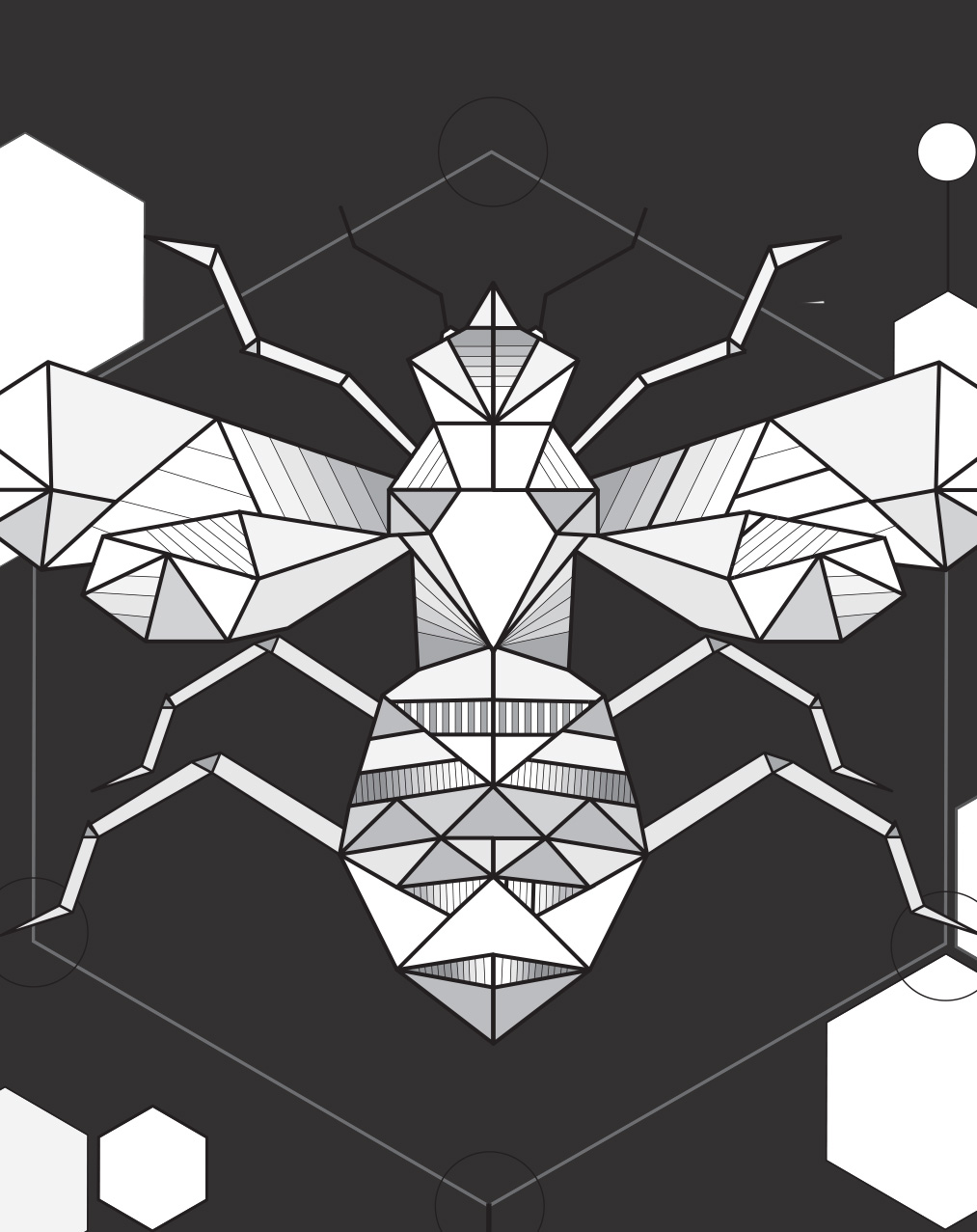 Brand and Logo Design